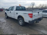 FORD F-150 XL 1FTFX1EF1BFC08039 fotografie