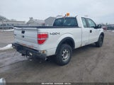 FORD F-150 XL 1FTFX1EF1BFC08039 fotografie