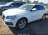 AUDI Q5 3.2 PREMIUM PLUS WA1DKAFP5CA058541 photo