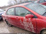 TOYOTA COROLLA LE 2T1BR32EX7C840831 fotografie