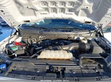 FORD F-150 XL 1FTEW1EP2MKD11617 снимка