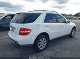 MERCEDES-BENZ ML 350 4MATIC 4JGBB86E36A066562 снимка