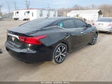 NISSAN MAXIMA 3.5 S 1N4AA6AP6HC449943 снимка