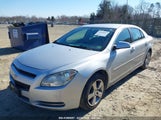 CHEVROLET MALIBU LT 1G1ZD5EB9AF100866 снимка