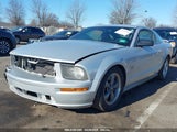 FORD MUSTANG GT DELUXE/GT PREMIUM 1ZVHT82H985160854 photo