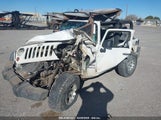 JEEP WRANGLER SPORT 1J4AA2D14AL173286 снимка