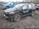 HONDA CR-V LX 5J6RW6H38HL001473 снимка