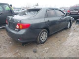 TOYOTA COROLLA LE 2T1BU40E39C167956 снимка
