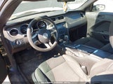 FORD MUSTANG V6 1ZVBP8EM3E5213160 снимка