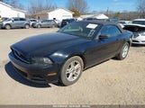 FORD MUSTANG V6 1ZVBP8EM3E5213160 снимка