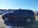 MERCEDES-BENZ ML 350 4MATIC 4JGDA5HB8CA036367 снимка