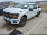 FORD F-150 TREMOR 1FTFW4L53SFA14787 photo