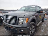 FORD F-150 XLT 1FTEX1EM2CFB52639 снимка