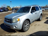 FORD ESCAPE XLT 1FMCU03108KE65802 снимка