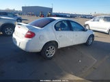 DODGE NEON SXT 1B3ES56C34D502063 fotografie