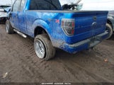 Ford F-150 Stx/Xl/Xlt 1FTEX1E84AFC69901 fotografie