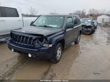 JEEP PATRIOT SPORT 1C4NJRBB4GD594729 снимка