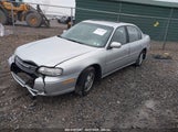 CHEVROLET MALIBU LS 1G1NE52J42M529224 снимка