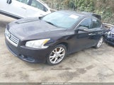 NISSAN MAXIMA 3.5 SV 1N4AA5AP6DC841261 снимка