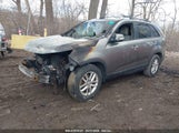 KIA SORENTO LX 5XYKT4A62EG501290 снимка