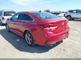 HYUNDAI SONATA SPORT 5NPE34AF4KH769601 photo