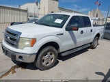 FORD F-150 XLT 1FTFW1EF0EKE45720 снимка