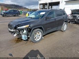 JEEP CHEROKEE LATITUDE 1C4PJMCS8GW253798 снимка