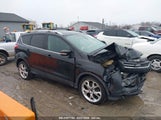 FORD ESCAPE TITANIUM 1FMCU9J94EUA65593 fotografie