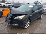 FORD ESCAPE TITANIUM 1FMCU9J94EUA65593 снимка