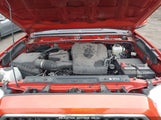 TOYOTA TACOMA TRD OFF ROAD 3TMCZ5AN4JM161623 fotografie