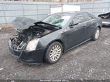 CADILLAC CTS STANDARD 1G6DA5E53C0141250 fotografie