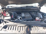 CHEVROLET SILVERADO 1500 2WD SHORT BED RST 3GCPWDET8MG103031 fotografie