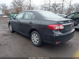 TOYOTA COROLLA LE JTDBU4EE9BJ100376 снимка
