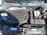 VOLKSWAGEN BEETLE 3VWFD7AT3KM709454 снимка