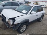 HYUNDAI TUCSON GLS/LIMITED KM8JN12D66U320996 photo