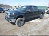 FORD F-150 FX4/HARLEY-DAVIDSON/KING RANCH/LARIAT/PLATINUM/XL/XLT 1FTFW1EV7AFB23103 снимка