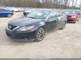 NISSAN ALTIMA 2.5 SL 1N4AL3AP1HC181165 снимка
