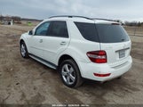 MERCEDES-BENZ ML 350 4MATIC 4JGBB86E09A520576 снимка