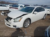 NISSAN MAXIMA 3.5 SE 1N4BA41E27C855949 снимка