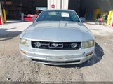 FORD MUSTANG V6 DELUXE/V6 PREMIUM 1ZVFT80N575368356 снимка