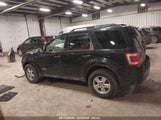 FORD ESCAPE XLT 1FMCU93198KD40608 снимка