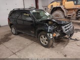 FORD ESCAPE XLT 1FMCU93198KD40608 снимка