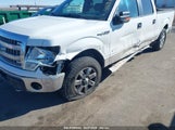 FORD F-150 XLT 1FTFW1ET3DKF37103 снимка