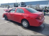 TOYOTA COROLLA LE 1NXBU4EEXAZ223998 снимка