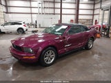 FORD MUSTANG 1ZVFT84N555227763 снимка