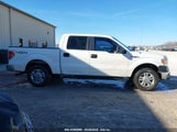 FORD F-150 XL 1FTFW1EF8DKE89110 снимка