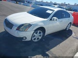NISSAN MAXIMA 3.5 SE 1N4BA41E65C843333 снимка
