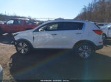 KIA SPORTAGE EX KNDPC3ACXG7815016 снимка