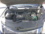 CADILLAC SRX LUXURY COLLECTION 3GYFNDEYXBS576153 снимка