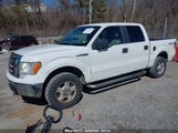 FORD F-150 FX4/HARLEY-DAVIDSON/KING RANCH/LARIAT/PLATINUM/XL/XLT 1FTFW1EV3AFB49746 снимка